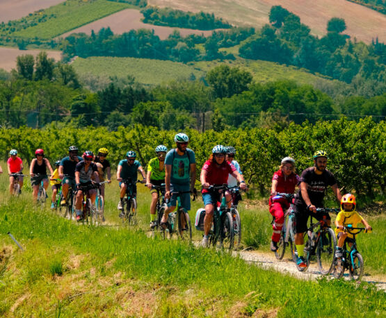 DOMENICHE CICLABILI 2026: PEDALATE APERTE A TUTTI ALLA SCOPERTA DEL TERRITORIO